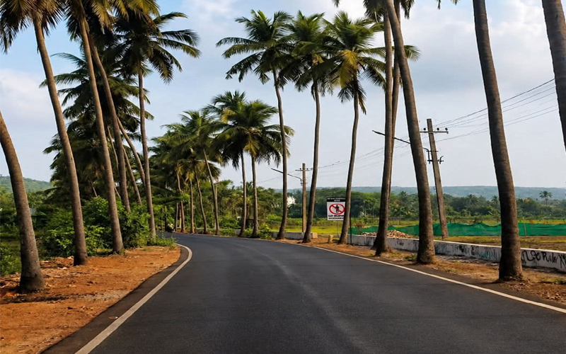 Goa to Madani Road Cabs